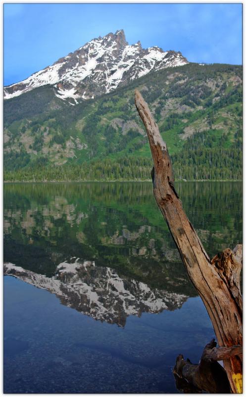Jenny Lake and Snag