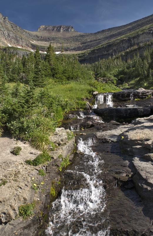 Near Logan Pass
