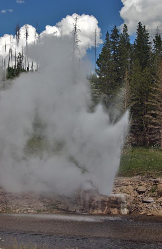 Riverside Geyser
