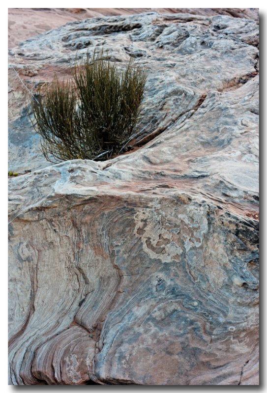 Rock Detail