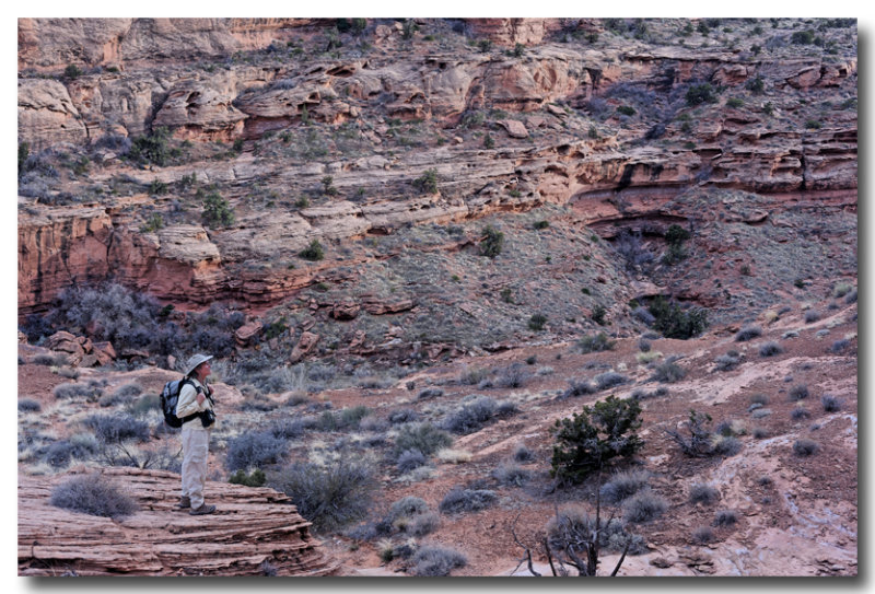 Hiker above Courthouse Wash