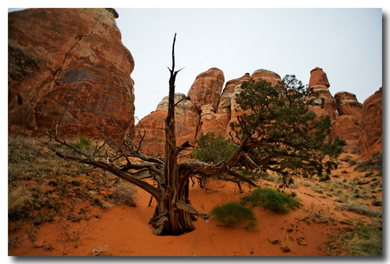 Snag, Fiery Furnace 1