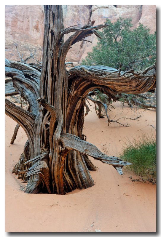 Snag, Fiery Furnace 2