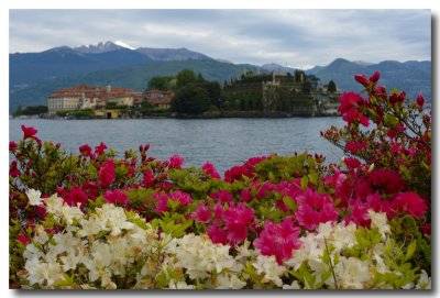 Isola Bella from Stresa waterfront