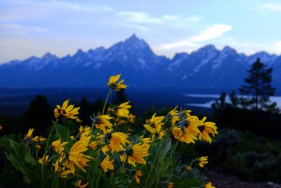 Tetons