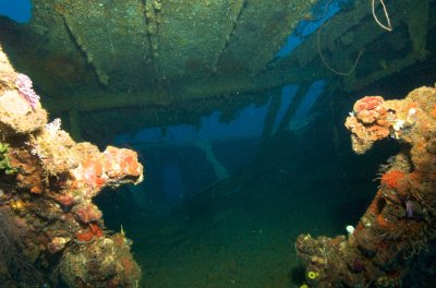 Looking into the Bianca C