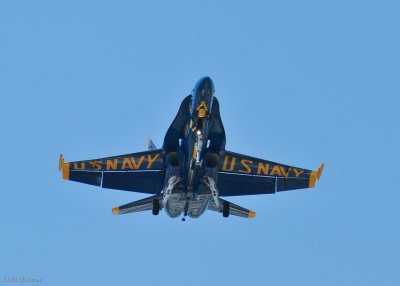 Blue Angels @ Sea Fair 2009