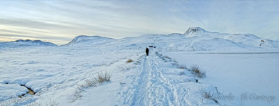 Ben Vrackie, Pitlochry - DSC_8027_28.jpg