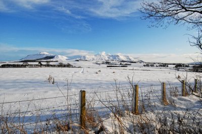 West Lomond and Bishop Hill - DSC_8468.jpg