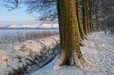 Loch Leven Walk - DSC_8487.jpg