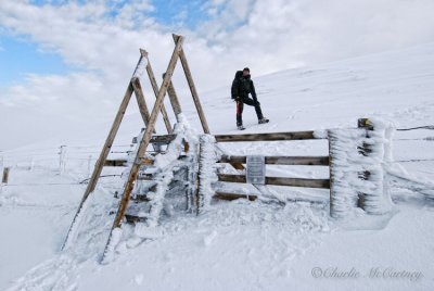 Meall nan Tarmachan, Loch Tay - DSC_8692.jpg