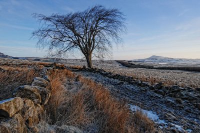 East Lomond - DSC_9057.jpg