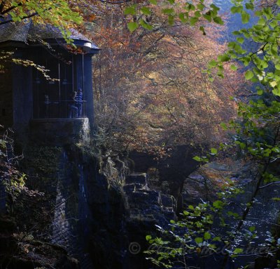 The Hermitage, Dunkeld - DSC_4438_39.jpg