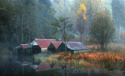 Little Loch Ard, Trossachs - DSC_4547.jpg