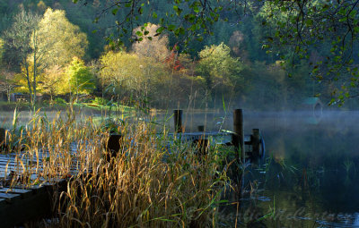 Little Loch Ard, Trossachs - DSC_4691.jpg