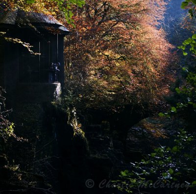 The Hermitage, Dunkeld - DSC_4425_26.jpg