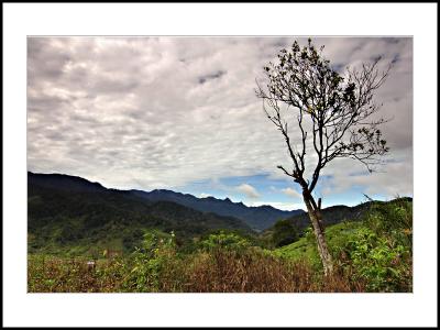 Gunung Talang-02