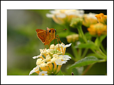 Wiluyo Puspoyudo Park, Balikpapan - East Borneo