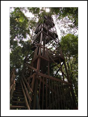 Canopy Bridge Platform I