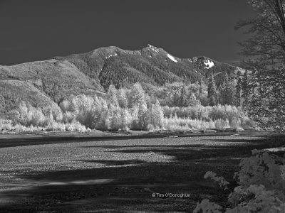 Sauk River