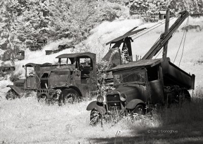 Old Truck Graveyard