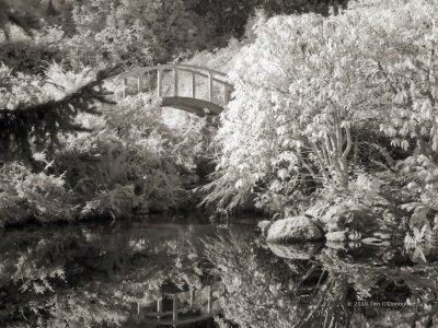 Moon Bridge at Kubota Gardens
