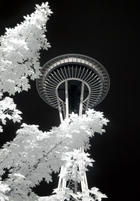 Space Needle and Foliage 1
