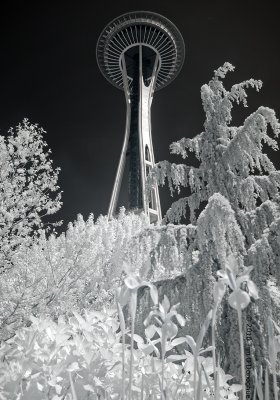 Space Needle and Foliage 2