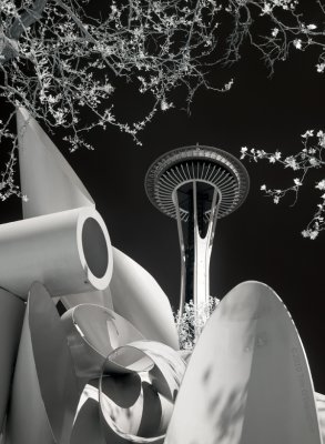Space Needle and Foliage and Sculpture 1