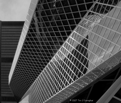 Seattle's Central Library II