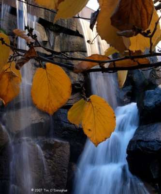 Urban Waterfall I