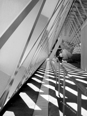 Shadow & Light at the Seattle Central Library
