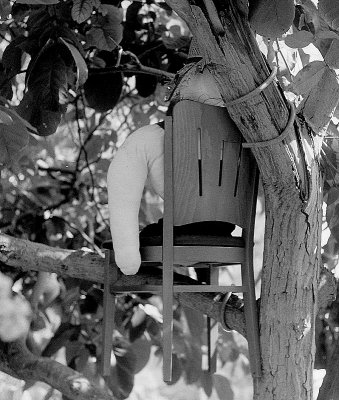 Emek - doll in tree chair2.jpg