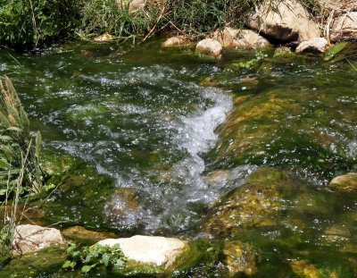 wadi amud stream2.JPG