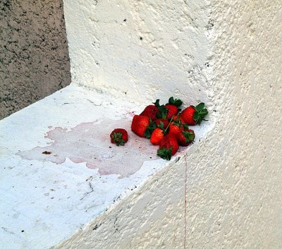 strawberries on ledge_cropJPG.jpg