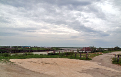 com - P5021030 marsh entry.jpg