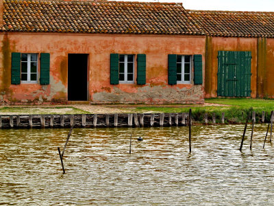 g3/59/578659/3/124402584.83DeJoEA.jpg