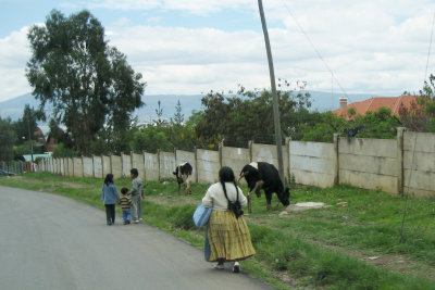 Street scene near Amistad