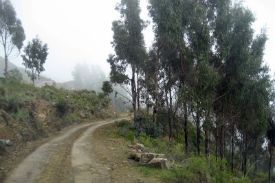 The road to Aramasi