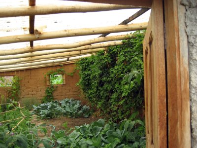 Community greenhouse
