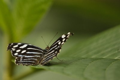 Costa-Rica-9