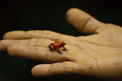 Costa-Rica-23