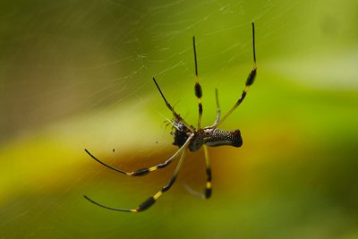 Costa-Rica-25