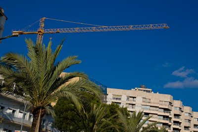 Palma 10