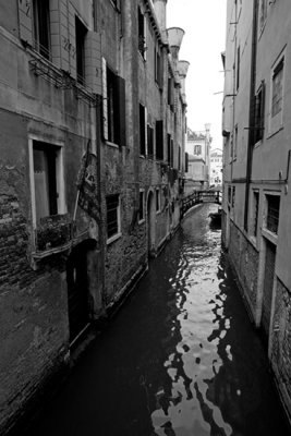 Venice 29