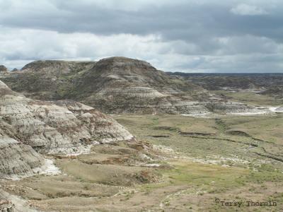 Badlands, Dinosaur P.P.JPG