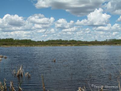 Wakamao Lake.JPG