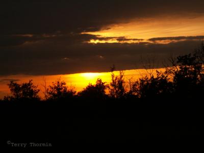 Sunset at fen north of Beaverhill Lake 2.JPG