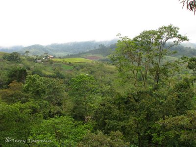 The valley at Rancho Naturalista 2 - RN.JPG