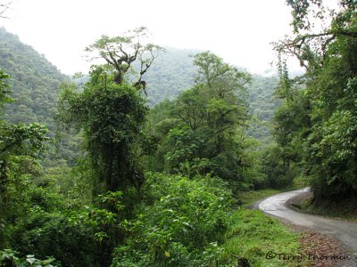Tapanti National Park